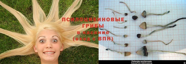 2c-b Волоколамск